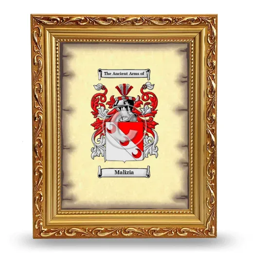 Malizia Coat of Arms Framed - Gold