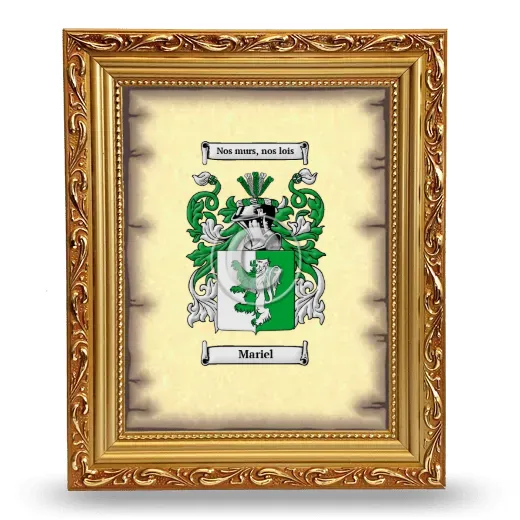 Mariel Coat of Arms Framed - Gold
