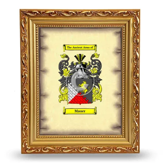 Mauer Coat of Arms Framed - Gold