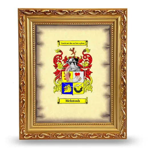 McIntosh Coat of Arms Framed - Gold