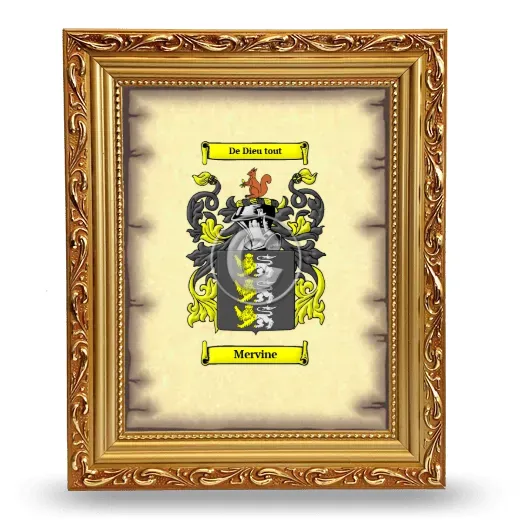 Mervine Coat of Arms Framed - Gold