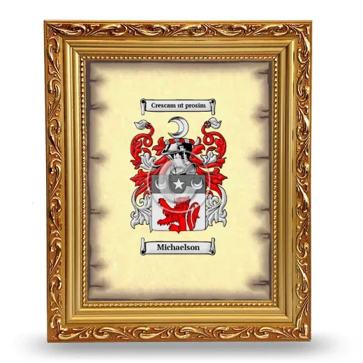 Michaelson Coat of Arms Framed - Gold