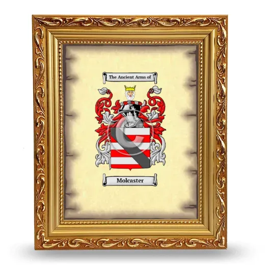 Molcaster Coat of Arms Framed - Gold