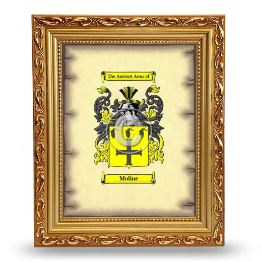 Moline Coat of Arms Framed - Gold