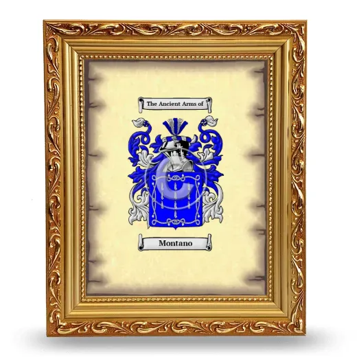Montano Coat of Arms Framed - Gold