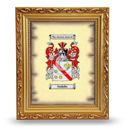 Nadalin Coat of Arms Framed - Gold