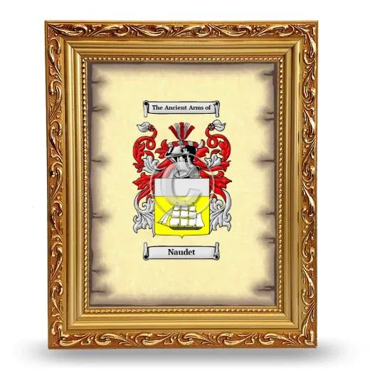 Naudet Coat of Arms Framed - Gold
