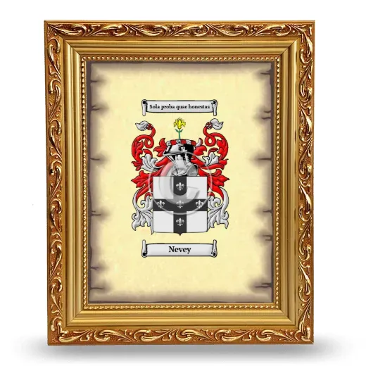 Nevey Coat of Arms Framed - Gold