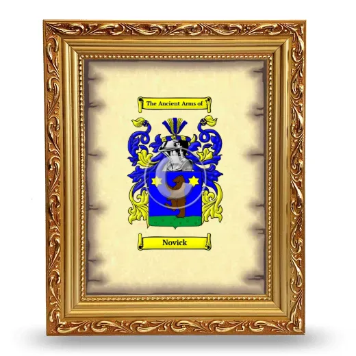 Novick Coat of Arms Framed - Gold
