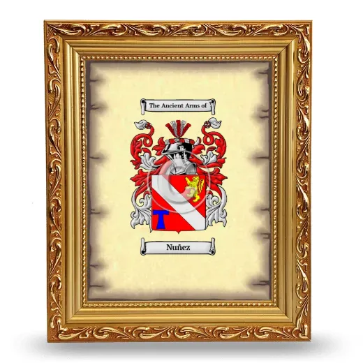 Nuñez Coat of Arms Framed - Gold