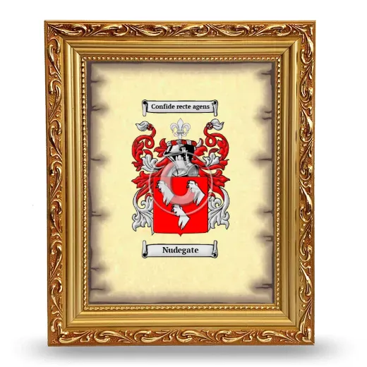 Nudegate Coat of Arms Framed - Gold