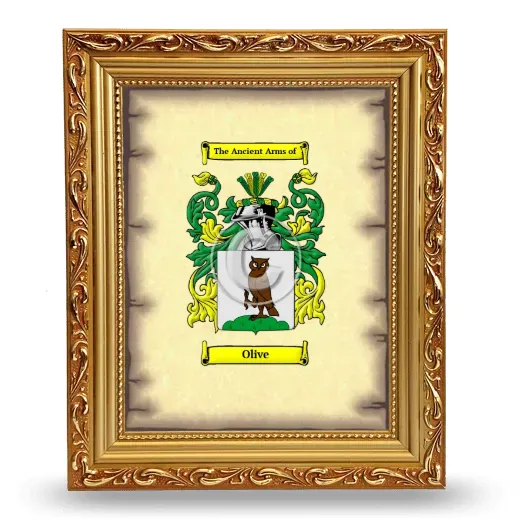 Olive Coat of Arms Framed - Gold