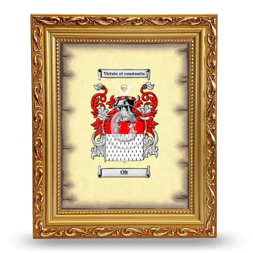 Olt Coat of Arms Framed - Gold