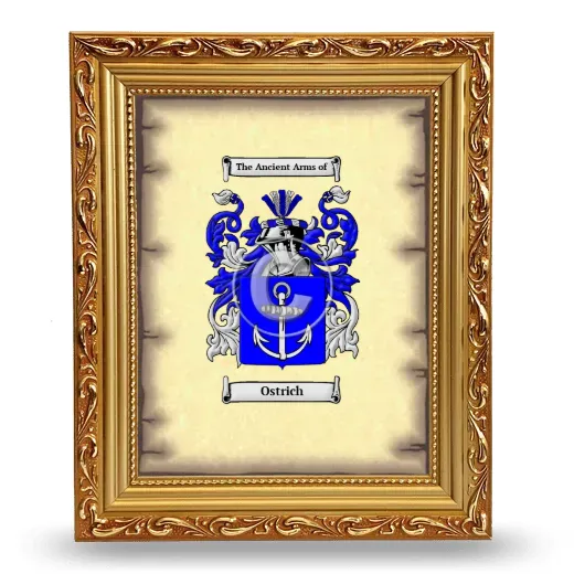 Ostrich Coat of Arms Framed - Gold