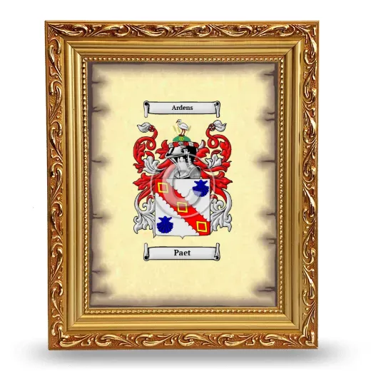 Paet Coat of Arms Framed - Gold