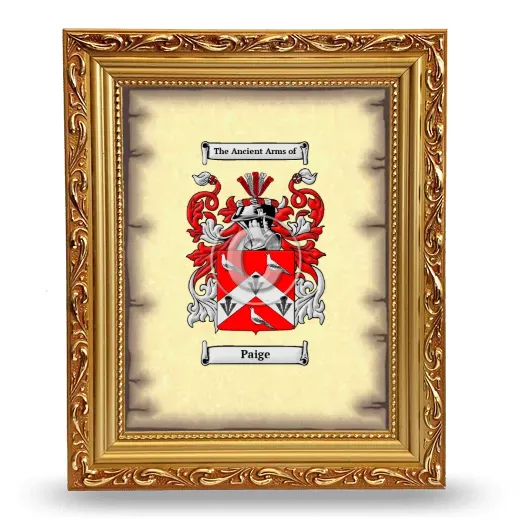 Paige Coat of Arms Framed - Gold