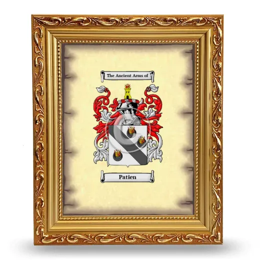 Patien Coat of Arms Framed - Gold