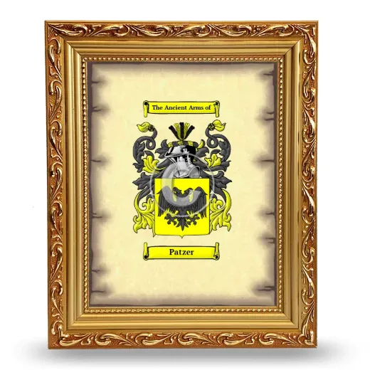 Patzer Coat of Arms Framed - Gold
