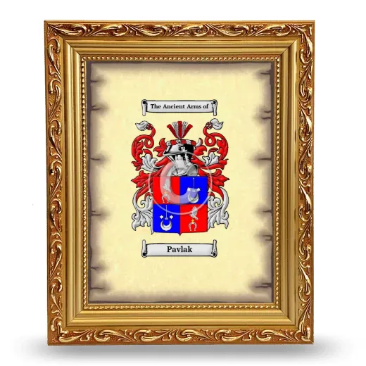 Pavlak Coat of Arms Framed - Gold