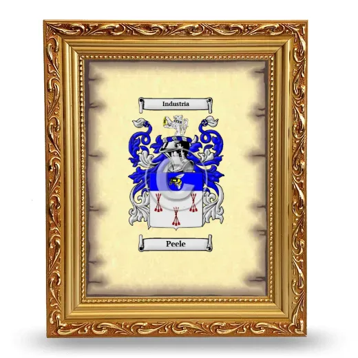 Peele Coat of Arms Framed - Gold