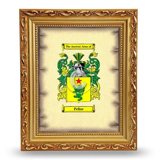 Pelise Coat of Arms Framed - Gold