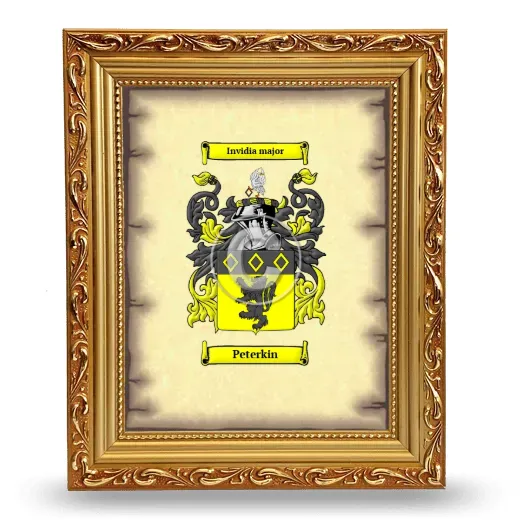 Peterkin Coat of Arms Framed - Gold