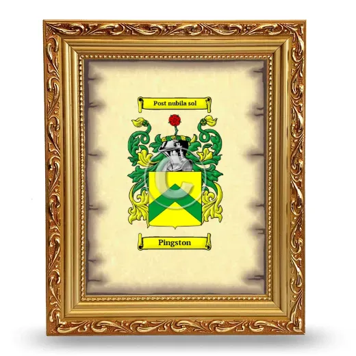 Pingston Coat of Arms Framed - Gold