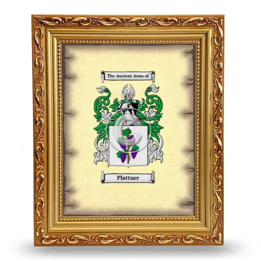 Plattner Coat of Arms Framed - Gold