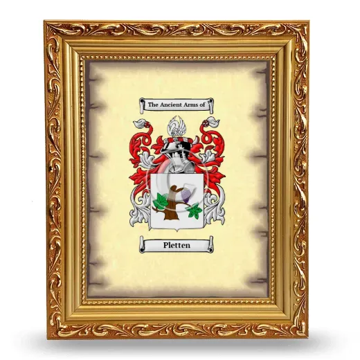 Pletten Coat of Arms Framed - Gold