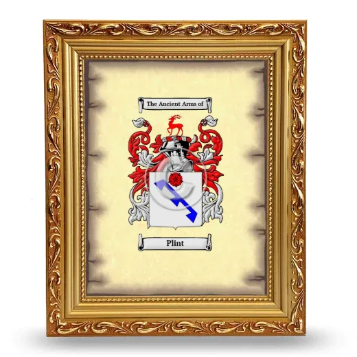 Plint Coat of Arms Framed - Gold