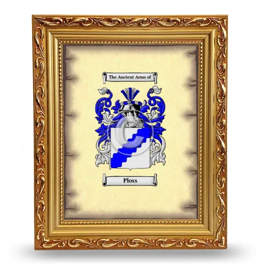 Ploss Coat of Arms Framed - Gold