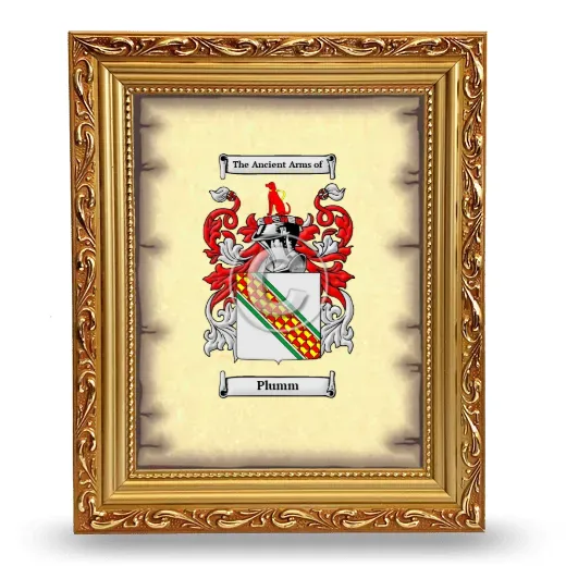 Plumm Coat of Arms Framed - Gold