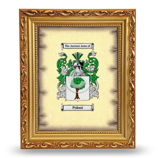 Poloni Coat of Arms Framed - Gold