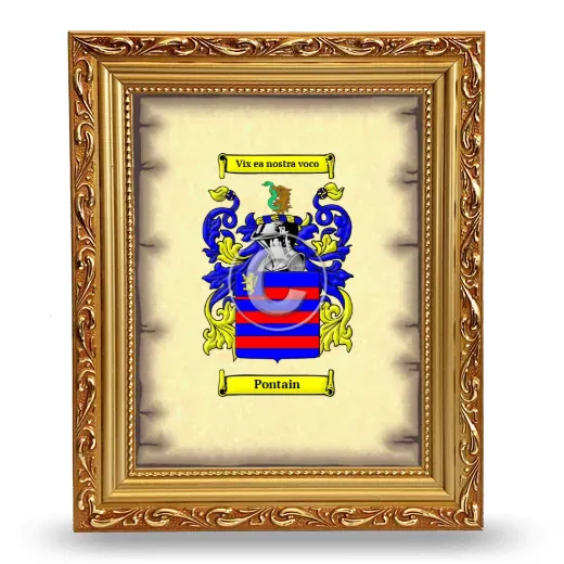 Pontain Coat of Arms Framed - Gold
