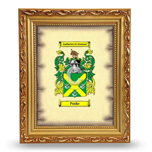Pooke Coat of Arms Framed - Gold