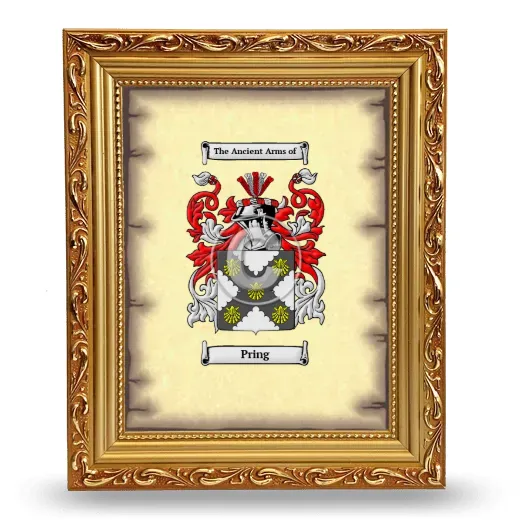 Pring Coat of Arms Framed - Gold
