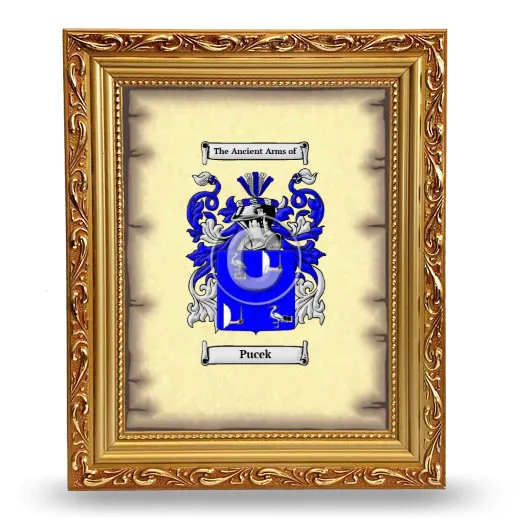 Pucek Coat of Arms Framed - Gold