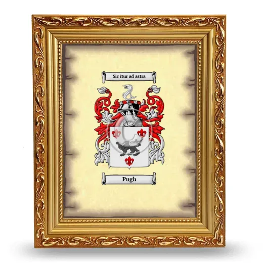 Pugh Coat of Arms Framed - Gold