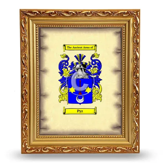 Pyz Coat of Arms Framed - Gold