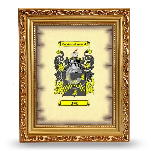 Quig Coat of Arms Framed - Gold