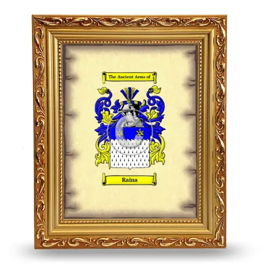 Raina Coat of Arms Framed - Gold