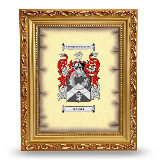 Raines Coat of Arms Framed - Gold
