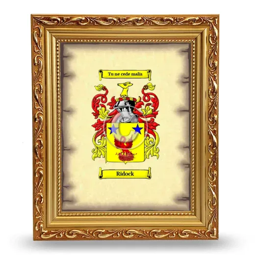 Ridock Coat of Arms Framed - Gold