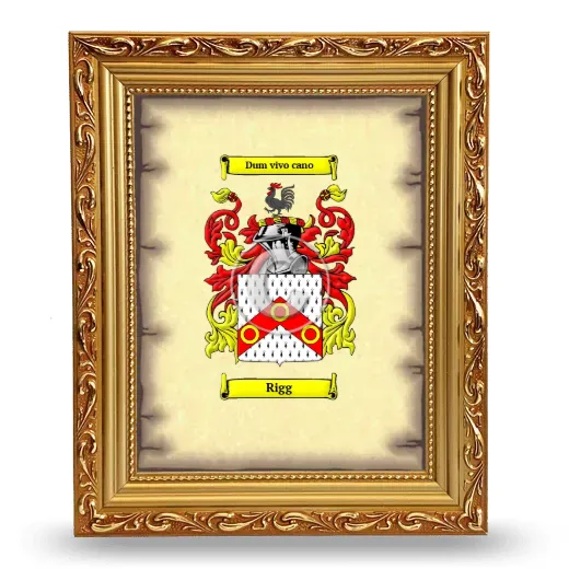 Rigg Coat of Arms Framed - Gold