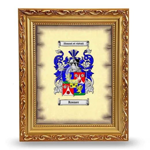 Rosner Coat of Arms Framed - Gold