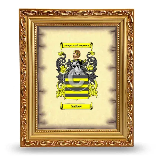 Salbey Coat of Arms Framed - Gold