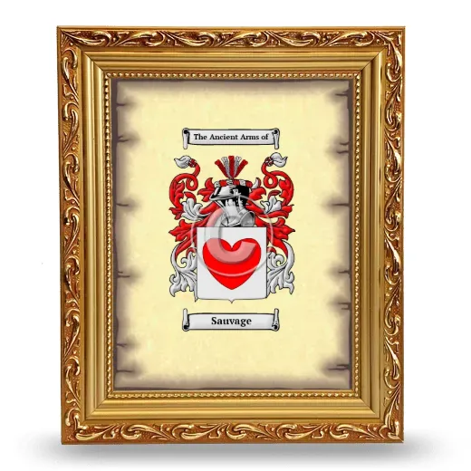 Sauvage Coat of Arms Framed - Gold