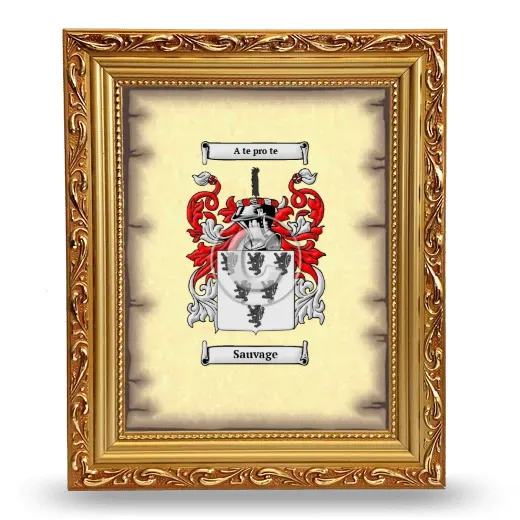 Sauvage Coat of Arms Framed - Gold