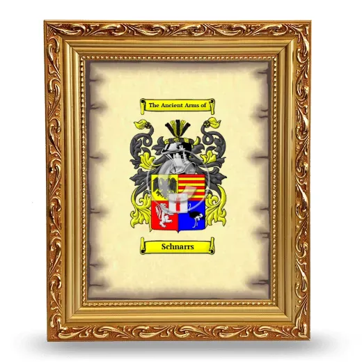 Schnarrs Coat of Arms Framed - Gold