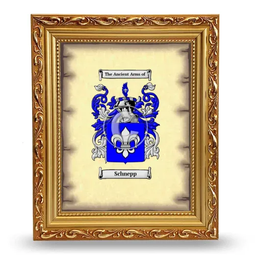 Schnepp Coat of Arms Framed - Gold